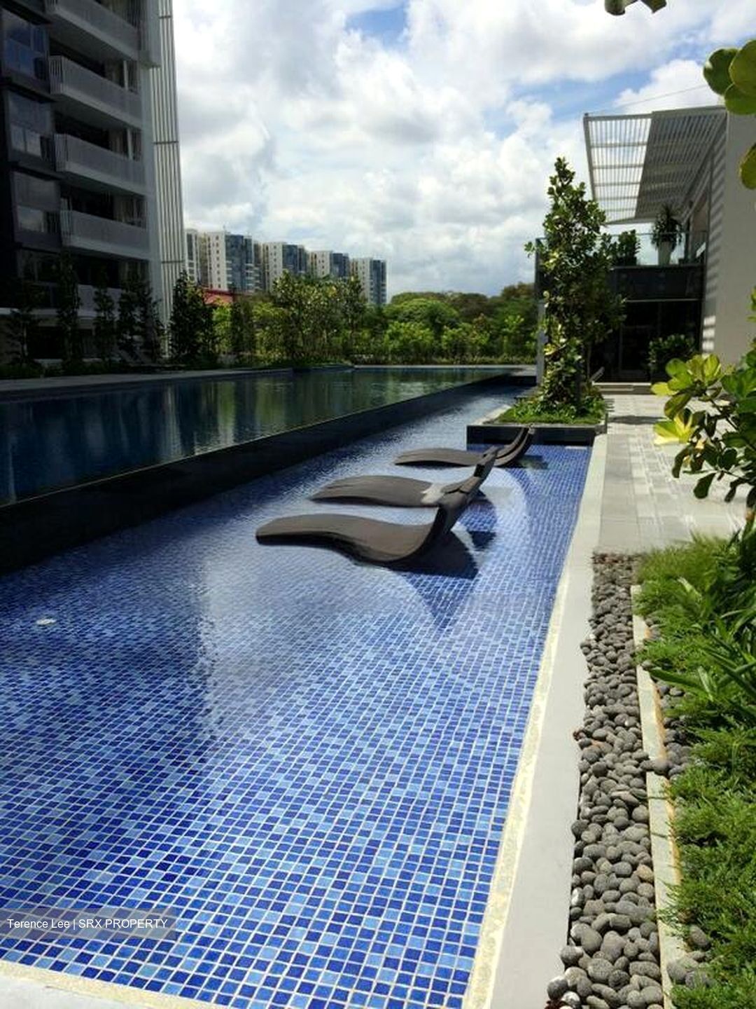 The Lakefront Residences (D22), Condominium #458662111